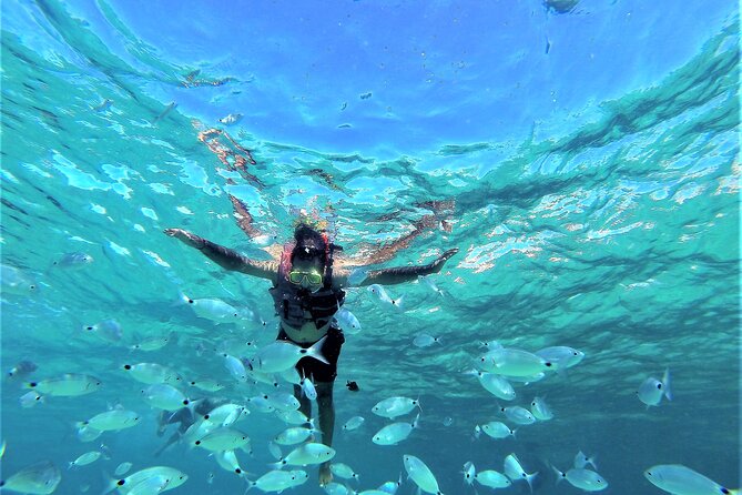Ibiza Sunset Snorkeling Beach and Cave Cruise Tour - Activities and Amenities on Board