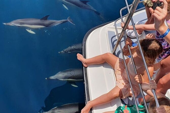 Incredible Dolphin Watching Experience on Our Family Friendly Catamaran - Lagos - Additional Important Information