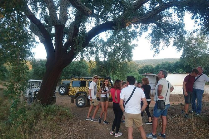 Jeep Safari Tour - Full Day - Booking Information and Pricing