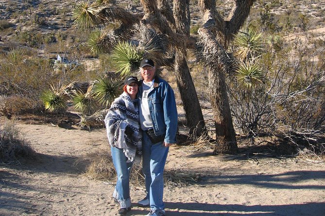 Joshua Tree National Park Scenic Tour - Guest Experiences and Feedback