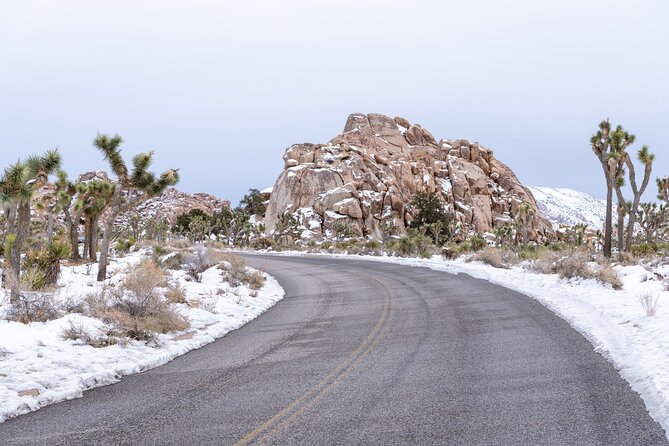 Joshua Tree National Park Self-Guided Driving Audio Tour - Additional Offerings