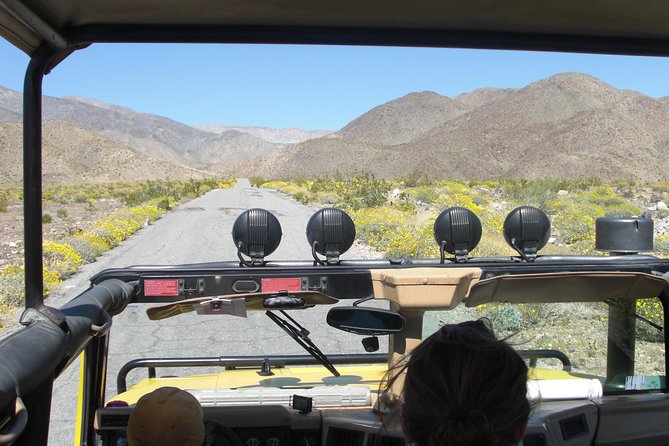 Joshua Tree Open Air Hummer Adventure - Exploring Joshua Trees Unique Ecosystem