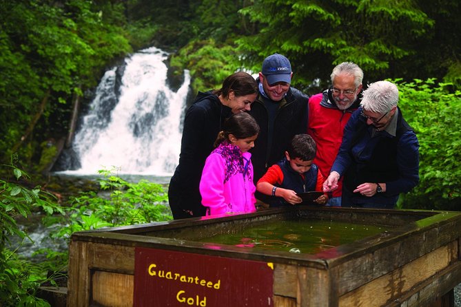 Juneau Whale Watching and Salmon Bake - Customer Feedback and Recommendations