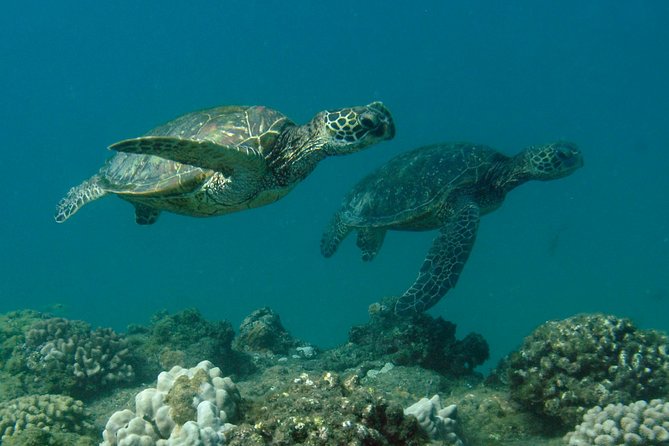 Kauais Ultimate South Island Zodiac Boat Snorkel Adventure - Booking Information and Flexibility