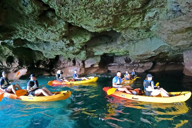 Kayaking Adventure Route With Snorkeling in Mogan Caves - Traveler Feedback and Recommendations
