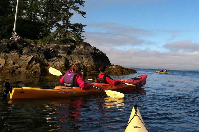 Ketchikan Kayak Eco-Tour - Traveler Experiences and Highlights