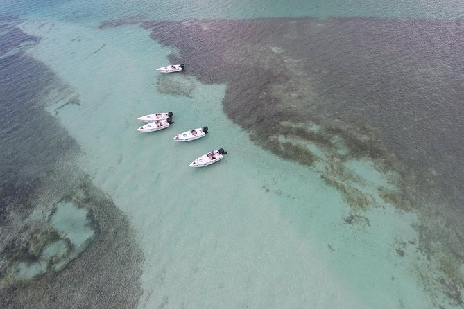 Key West Safari Eco Sandbar Tour Adventure With Snorkeling - Customer Reviews and Feedback