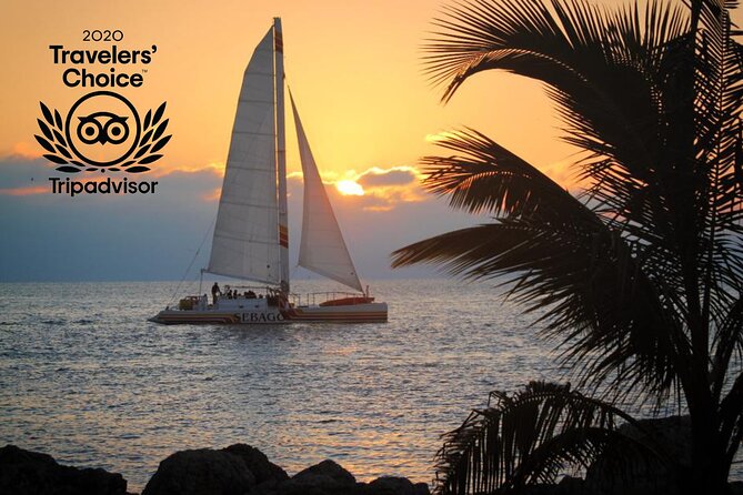 Key West Sunset Sail: Dolphin Watching, Wine, and Tapas - Indulging in Gourmet Snacks and Beverages