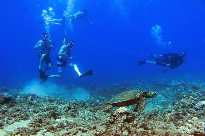Ko Olina Catamaran Sail and Snorkel - Booking and Cancellation Policy
