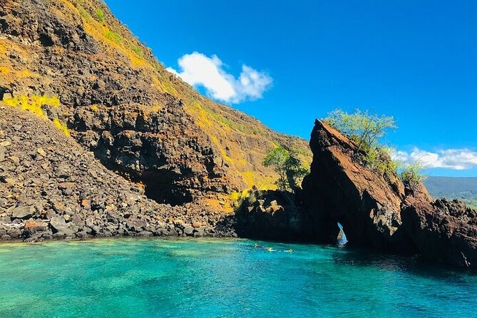 Kona Wild Dolphin, Sea Cave & Captain Cook Reef Snorkel Adventure - Accessibility and Safety Considerations