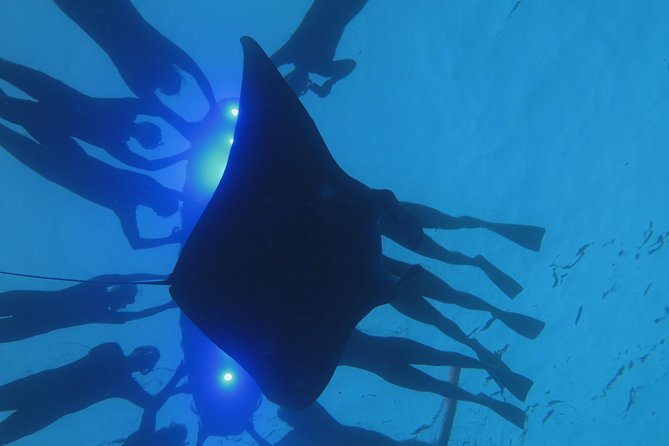Konas Magical Manta Ray Night Snorkel: Small-Group Eco-Tour - Exploring the Kona Coast: More Than Just Mantas