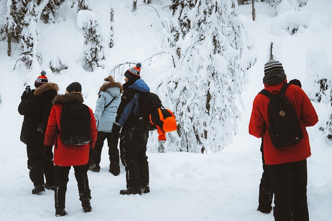 Korouoma Canyon Frozen Waterfalls - Booking and Cancellation Policy