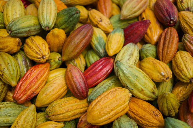 Lahaina: Maui Kuia Estate Guided Cacao Farm Tour and Tasting - Highlights From Customer Reviews