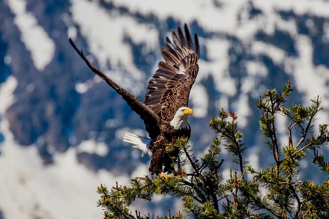 Lake Tahoe Small-Group Photography Scenic Half-Day Tour - What to Expect on the Tour