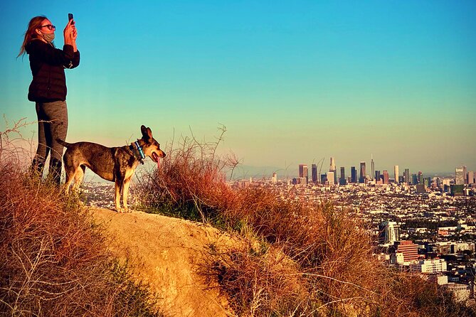 Los Angeles: Walking and Hiking Hollywood Sunset Tour - Guest Experiences and Feedback