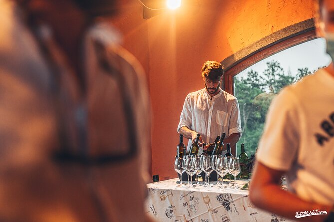 Lucca: Wine Tasting Experience - Tenuta Adamo Winery - Relaxation