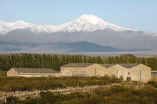 Malbec & Mountain Uco Valley Private Wine Tour With Gourmet Lunch - Explore the Uco Valley With Ease