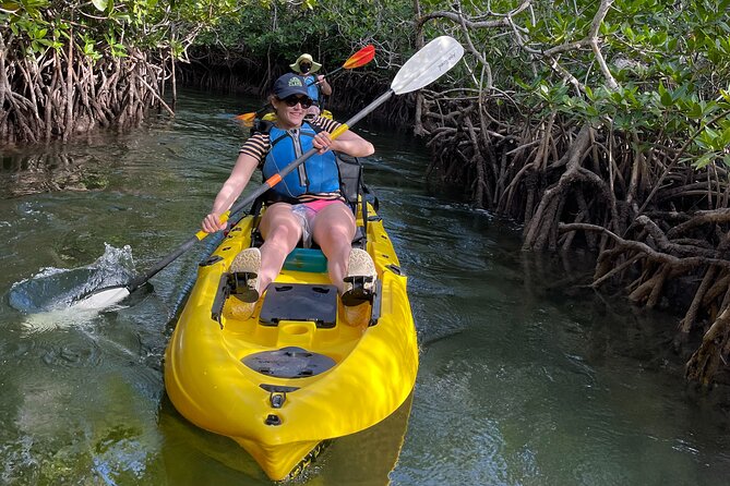 Mangrove Tunnel Kayak Adventure in Key Largo - Highlights of the Tour