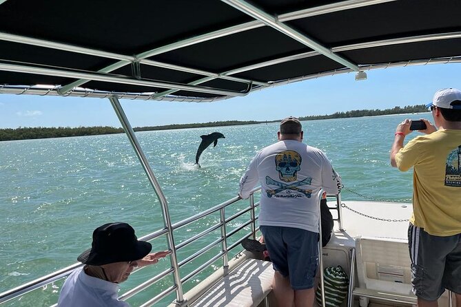 Marco Island Dolphin Sightseeing Tour - Exceptional Captains and Service