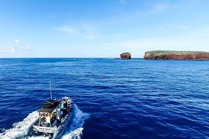 Maui to Lanai Semi-Private Eco Raft Snorkel & Dolphin Tour - Snorkeling Highlights