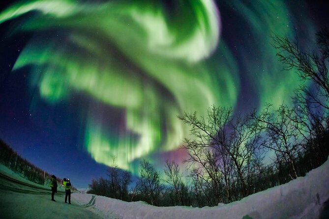 Minivan Northern Lights Excursion (8 Guests per Minivan) - Expectations Management