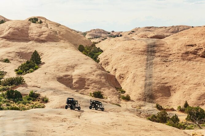 Moab Xtreme 2-Hour Experience - Customer Testimonials and Feedback
