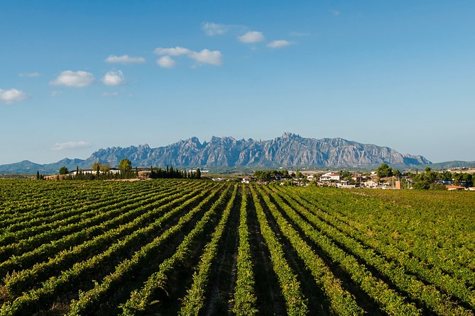 Montserrat,Vineyard, Wine Tasting Small Group Tour & Hotel Pickup - Tour Considerations and Requirements