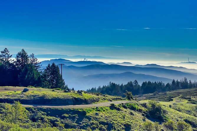Muir Woods and Sausalito Half Day Tour - Cancellation Policy
