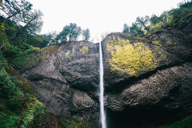 Multnomah Falls and Columbia River Gorge Waterfalls Tour Morning - Tour Logistics and Booking Details