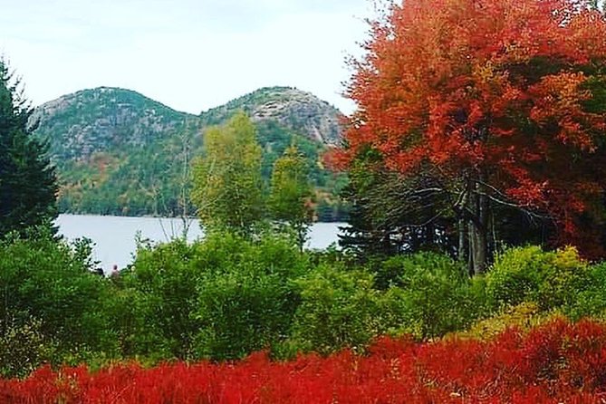 Narrated Bus Tour of Bar Harbor and Acadia National Park - Pricing and Booking Information