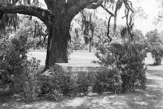 New Orleans Dead of Night Ghosts and Cemetery Bus Tour - Traveler Reviews and Recommendations