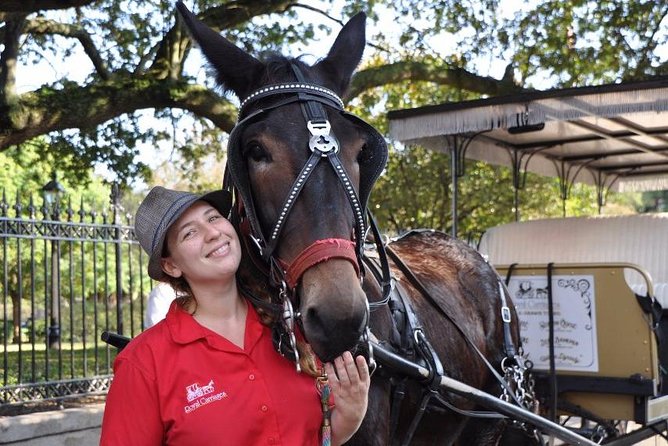 New Orleans French Quarter and More Carriage Ride - Planning Your Carriage Tour Experience