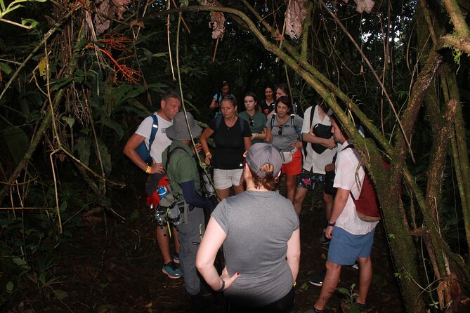 Night Tour - Planning Your Visit