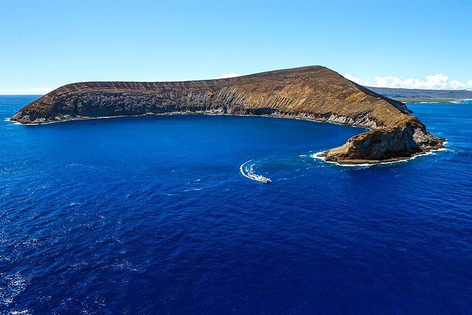 Niihau and Na Pali Coast Snorkel Boat Tour - Customer Reviews and Feedback