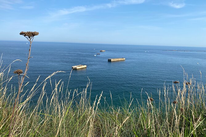 Normandy American & British DDAY Beaches Halfday Tour From Bayeux - Pricing