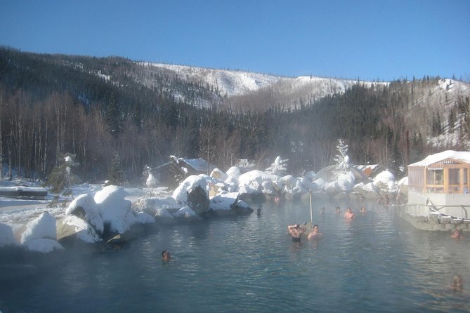 Northern Lights and Chena Hot Springs Tour From Fairbanks - Chena Hot Springs Resort Amenities