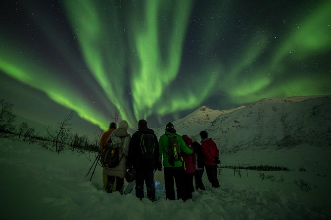 Northern Lights Tour From Tromsø - Discovering the Wonders of the Aurora Borealis
