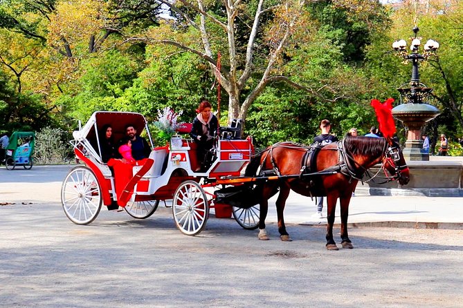 NYC Central Park Horse Carriage Ride (Up to 4 Adults) - Ideal for Romantic Occasions or Family Fun