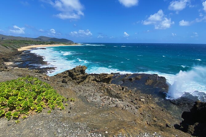 Oahu Island Experience Feat the North Shore (Small Group Tour) - Insider Tips and Recommendations