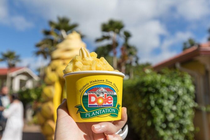 Oahus Ultimate Tour: Dole, Turtle Snorkel, & Nuuanu Pali Lookout - Amenities and Inclusions