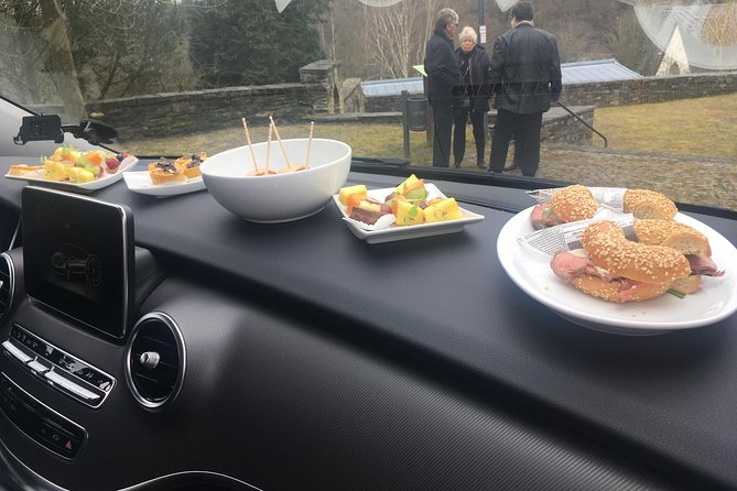 On Tour With a Friend and His Luxury Van - Booking Details and Guest Testimonials