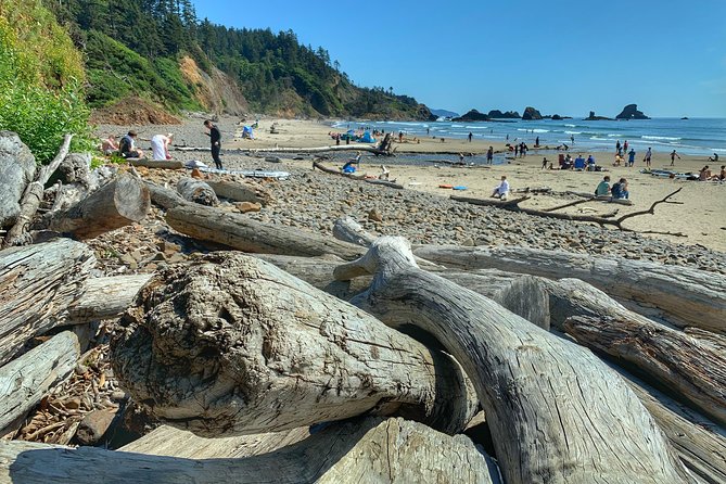 Oregon Coast Day Trip: Cannon Beach and Haystack Rock - Traveler Feedback and Recommendations