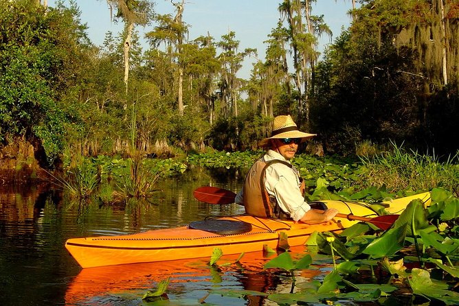 Orlando Manatee Encounters - Customer Reviews and Feedback