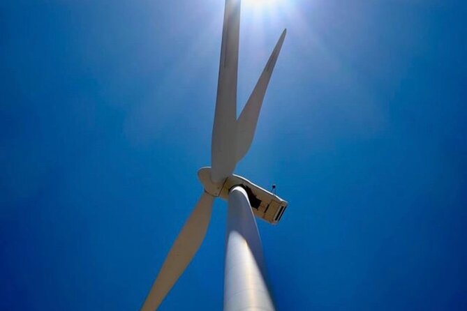 Palm Springs Windmill Tours - Planning Your Visit