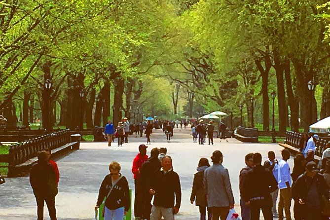 Pedicab Guided Tour of Central Park - Additional Accessibility Information