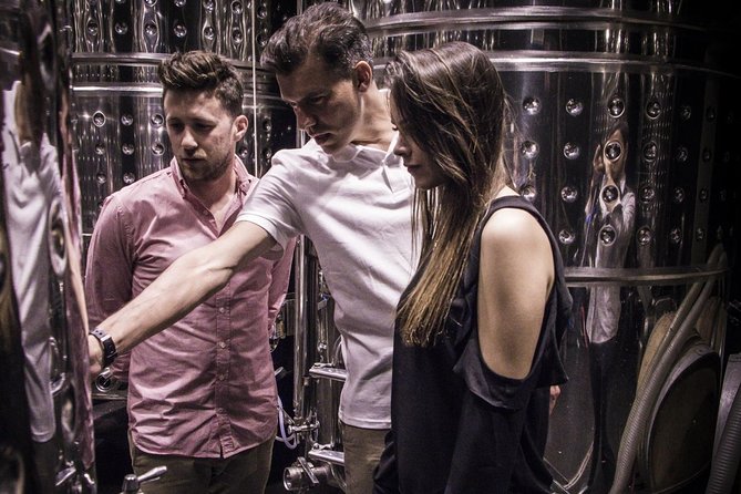 Penedes Wine & Cava Tasting & 4WD Vineyards Tour From Barcelona - Why This Tour Stands Out