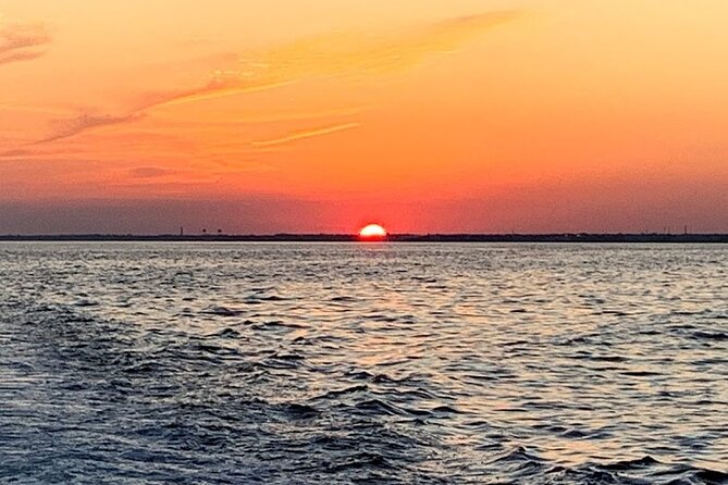 Pensacola Beach Jolly Dolphin Cruise and Scenic Bay Tour - Customer Feedback and Highlights