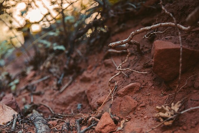Pikes Peak COG Railway & Garden of Gods Tour - Combining Nature and Adventure