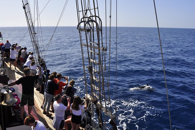 Pirate Adventure Boat Tour With Lunch in Fuerteventura - Booking and Cancellation Policy