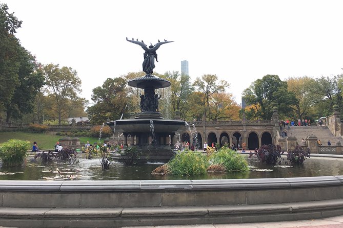 Private Central Park Guided Tour by Pedicab - Central Parks Diverse Landscape